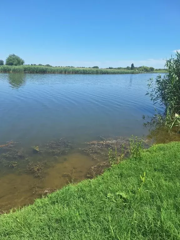 Участок в Краснодарский край, Усть-Лабинский район, Александровское ... - Фото 0