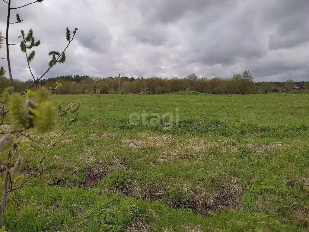 Участок в Вологодская область, Харовск  (14.46 сот.) - Фото 2
