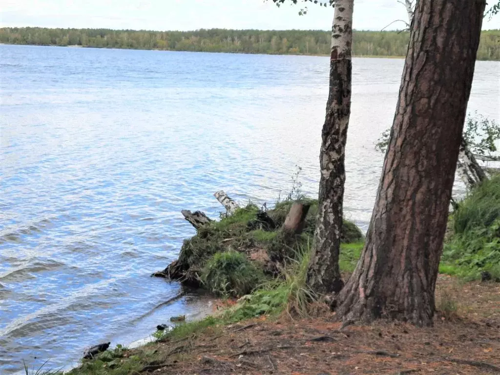 Печенкино еткульский. Еткуль дом на берегу. Еткуль пляж Печенкино. Дом в Печенкино.