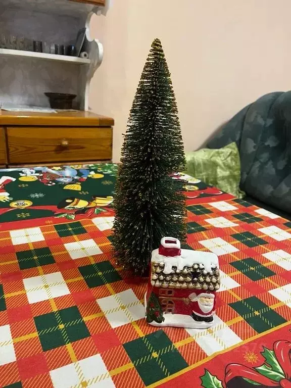 Дом в Вологодская область, Великий Устюг ул. Дежнева, 81 (45 м) - Фото 1