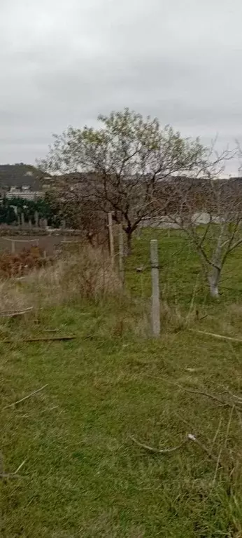 Участок в Крым, Алушта Восход СНТ,  (11.5 сот.) - Фото 1