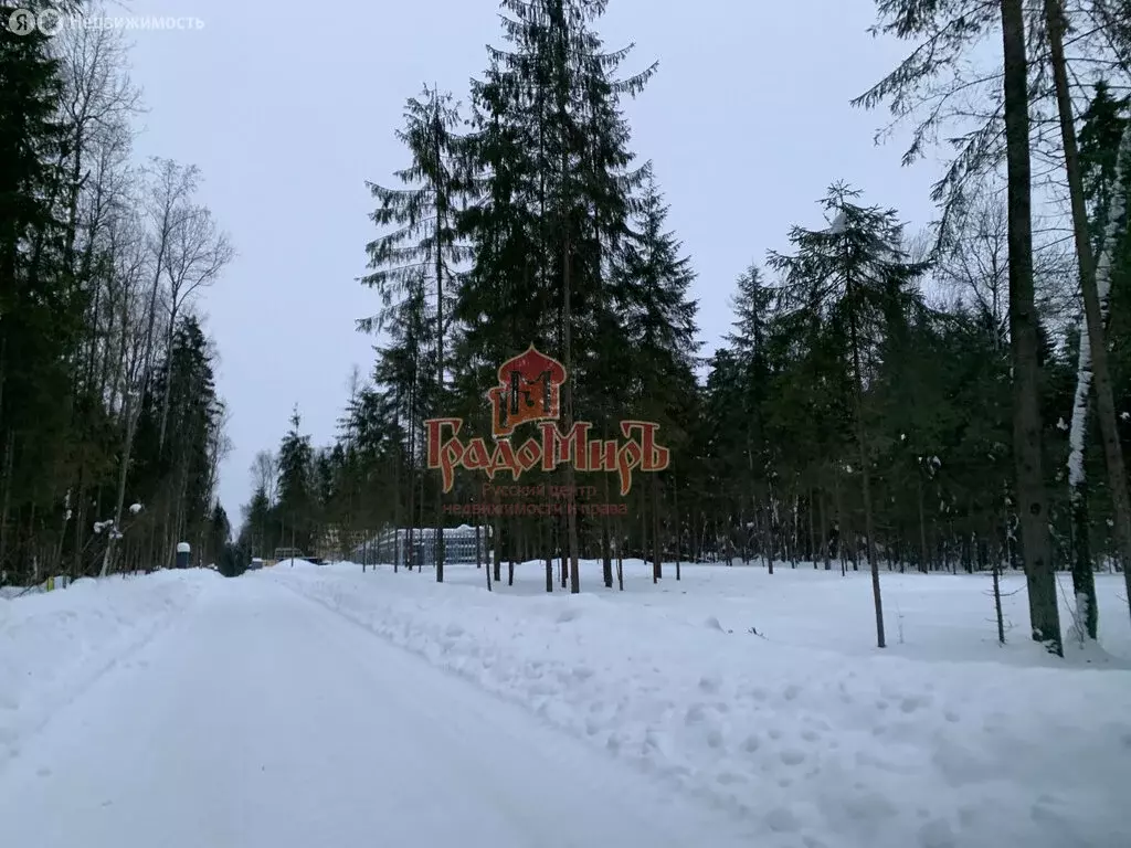 Участок в Московская область, Дмитровский муниципальный округ, деревня ... - Фото 0