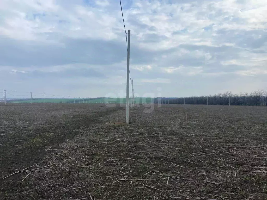 Участок в Ростовская область, Мясниковский район, с. Большие Салы ул. ... - Фото 2