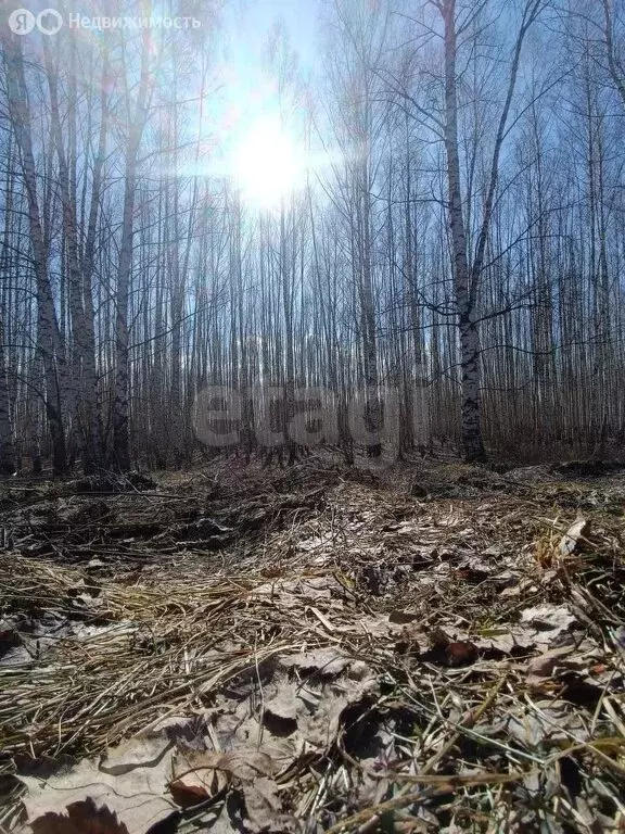 Участок в Нижегородская область, Лысковский муниципальный округ, ... - Фото 0