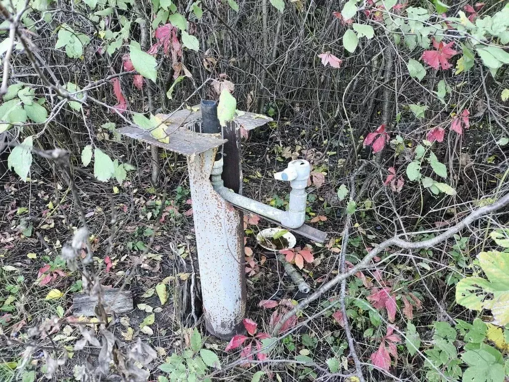 Участок в Ростовская область, Азовский район, Кулешовское с/пос, ... - Фото 2