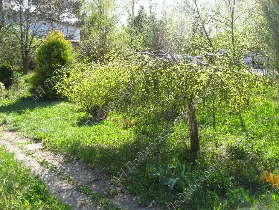 Дом в Одинцовский городской округ, СНТ Март (48 м) - Фото 0