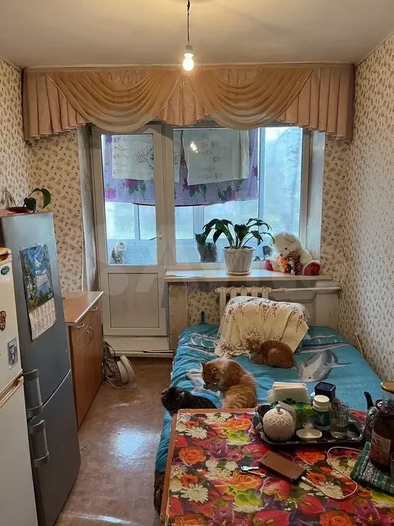 Комната 14,5 м в 9-к., 3/5 эт. - Фото 1
