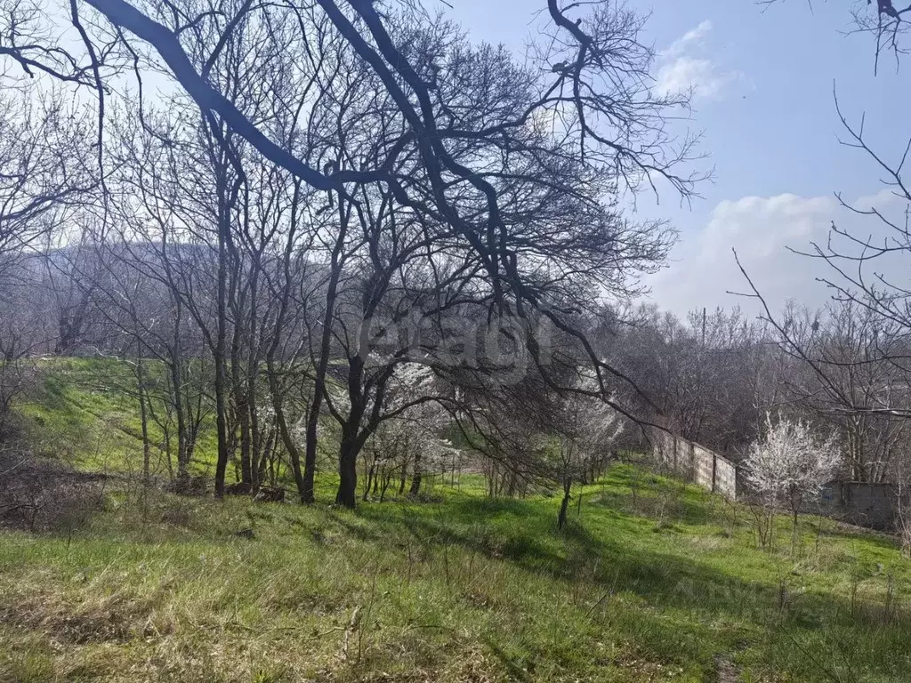 Участок в Краснодарский край, Новороссийск городской округ, ... - Фото 2