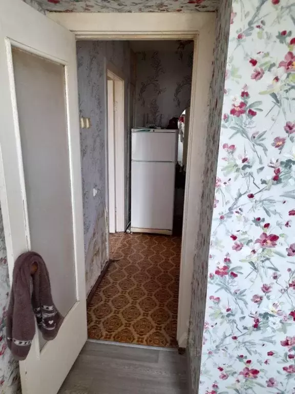 2-к кв. Нижегородская область, Дзержинск Прибрежная тер., ул. Попова, ... - Фото 1