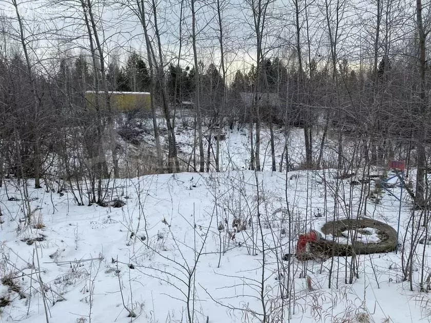 Участок в Тюмень, ДНП Звенящие Кедры Тюмени (80 м) - Фото 0