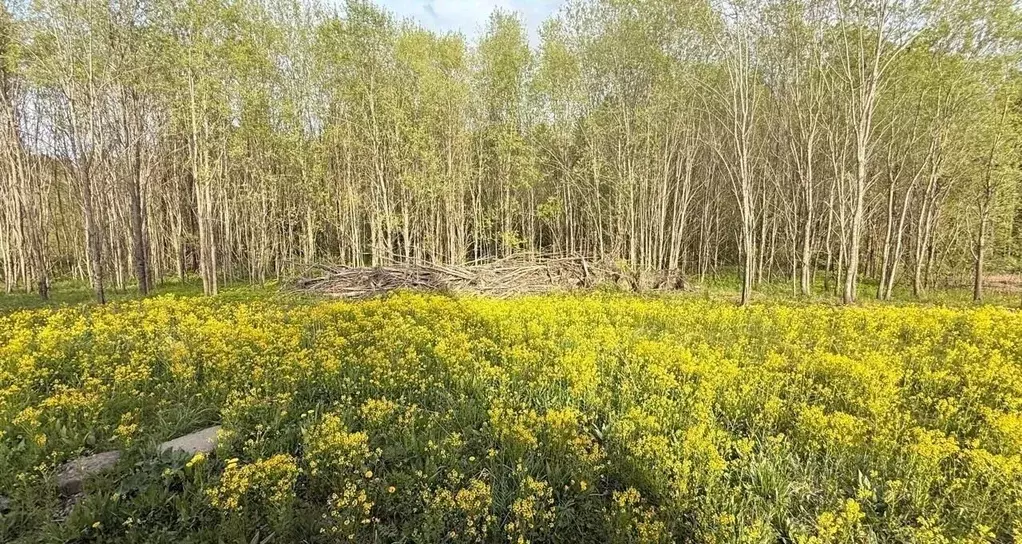 Участок в Ленинградская область, Ломоносовский район, Лопухинское ... - Фото 2