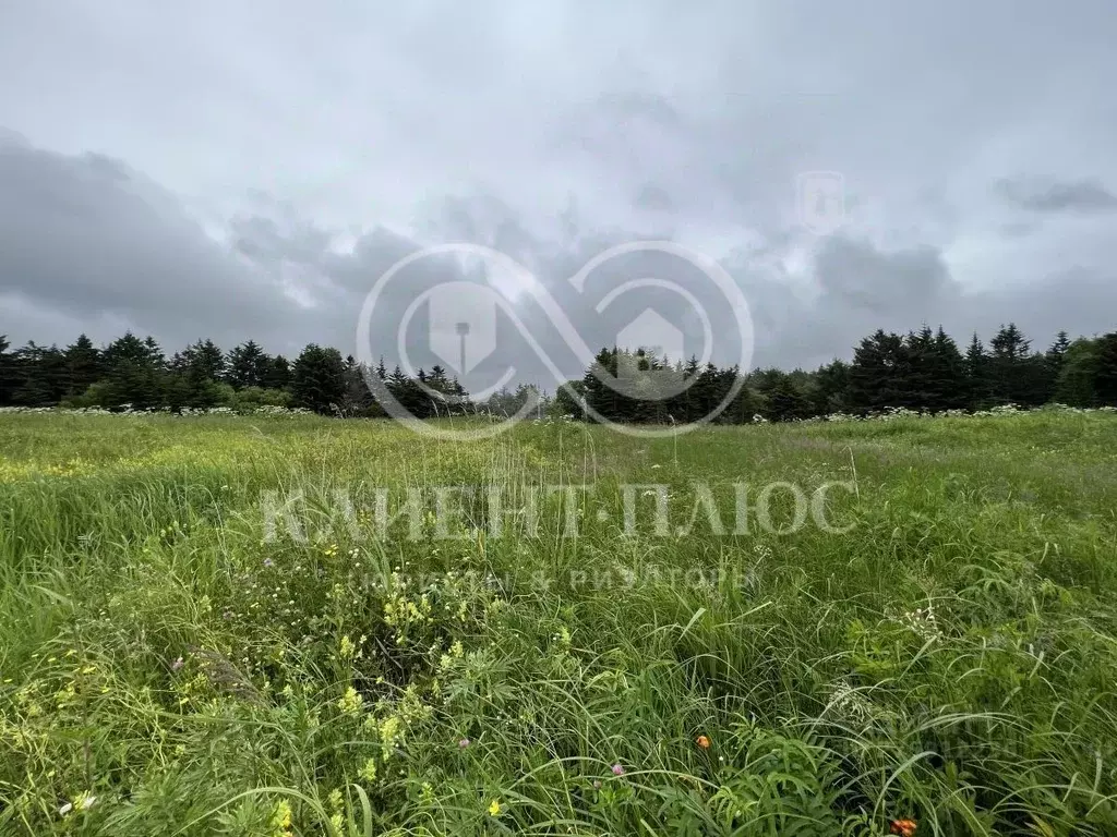 Участок в Сахалинская область, Корсаковский городской округ, пос. ... - Фото 0