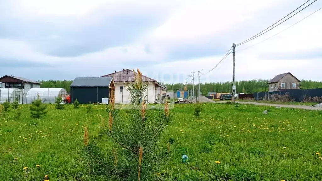 Участок в Свердловская область, Белоярский муниципальный округ, ... - Фото 1