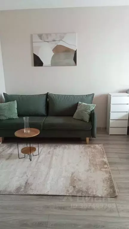 1-к кв. Московская область, Балашиха Новое Павлино мкр, ул. Троицкая, ... - Фото 1