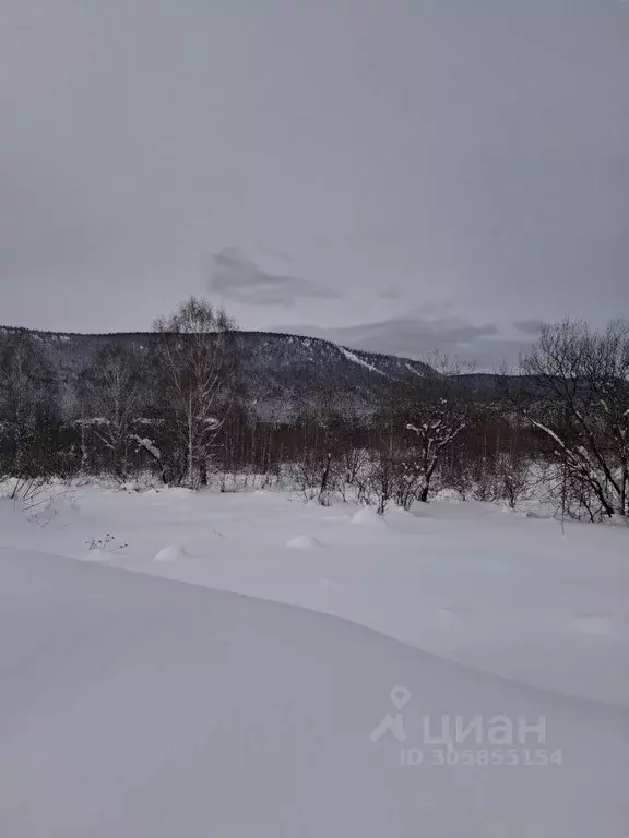 Участок в Кемеровская область, Таштагол пос. Шалым,  (15.0 сот.) - Фото 0