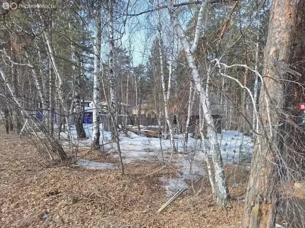 Участок в Иркутск, СНТ Строитель, 2 (13 м) - Фото 2