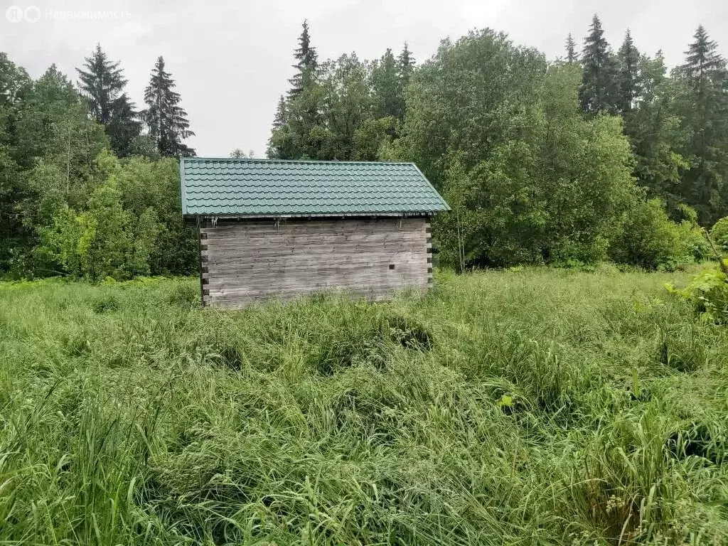 Участок в Волосово, Комсомольская улица (11.97 м) - Фото 1