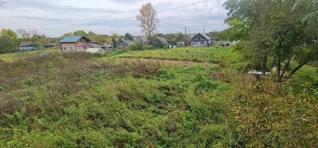 Участок в Хабаровский край, Хабаровск пос. Березовка, ул. ... - Фото 1