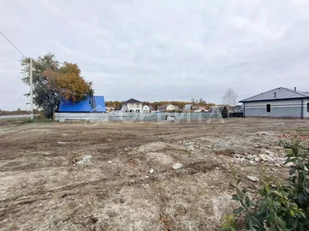 Участок в Тюменская область, Тюменский муниципальный округ, Луговое ... - Фото 2