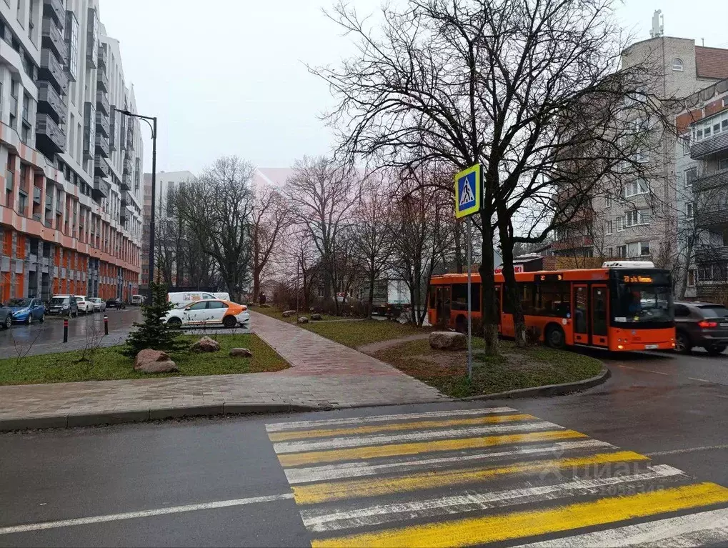 3-к кв. Калининградская область, Калининград ул. Маршала Борзова, 109 ... - Фото 1