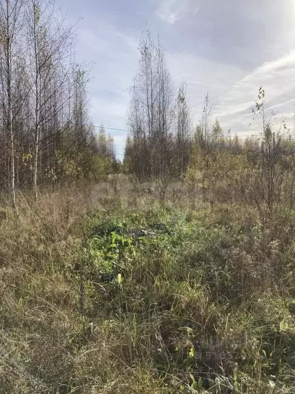 Участок в Костромская область, Макарьевский муниципальный округ, с. ... - Фото 0