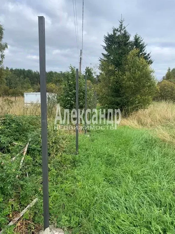 Участок в Ленинградская область, Приозерский район, Севастьяновское ... - Фото 1