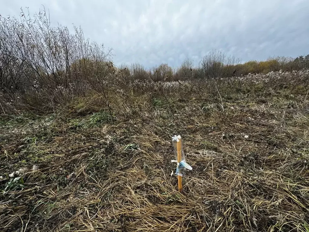 Участок в Свердловская область, Горноуральский городской округ, с. ... - Фото 2