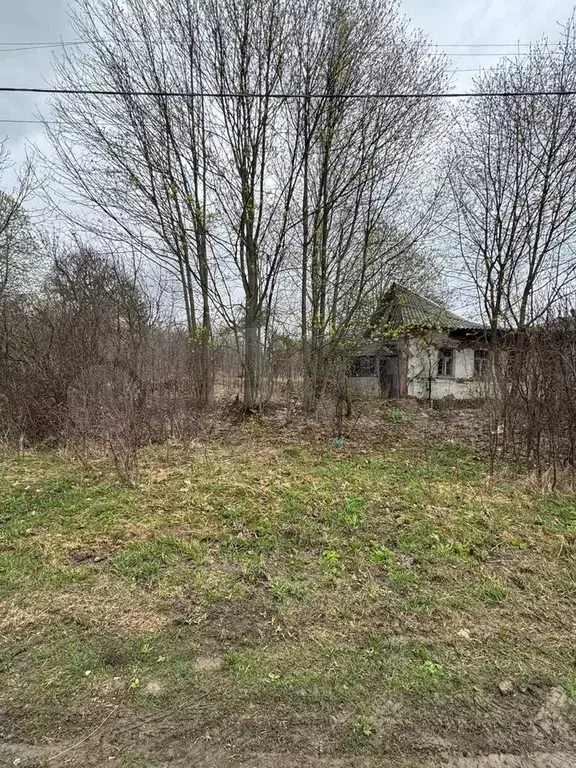 Участок 30 сот. (ИЖС) - Фото 1