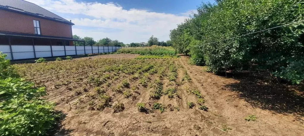 Участок в Краснодарский край, Динской район, Нововеличковское с/пос, ... - Фото 1