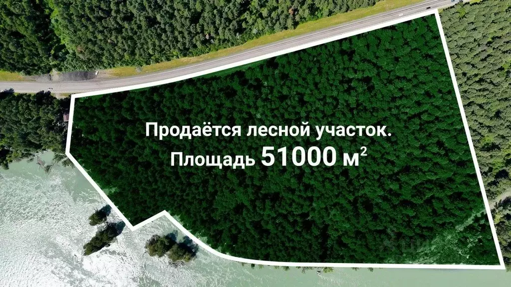 Участок в Алтайский край, Алтайский район, Айский сельсовет  (5.1 ... - Фото 0