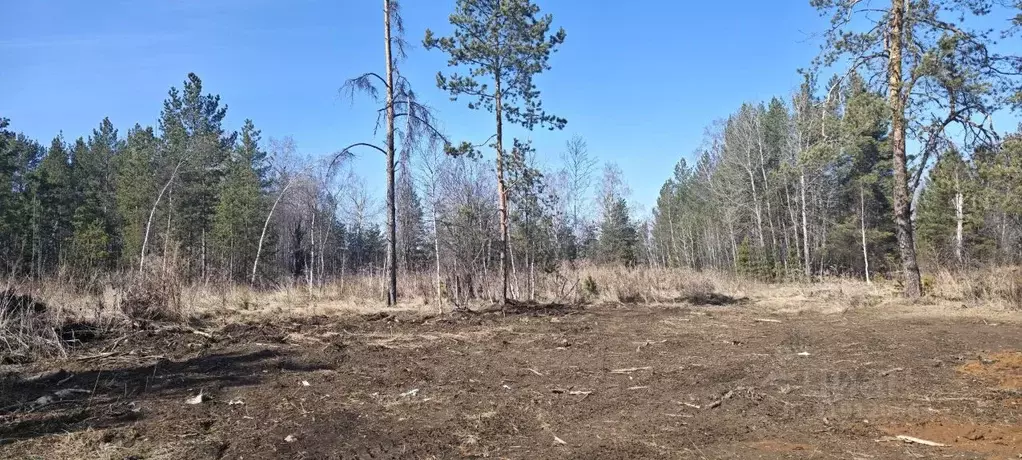 Участок в Свердловская область, Екатеринбург  (11.96 сот.) - Фото 0