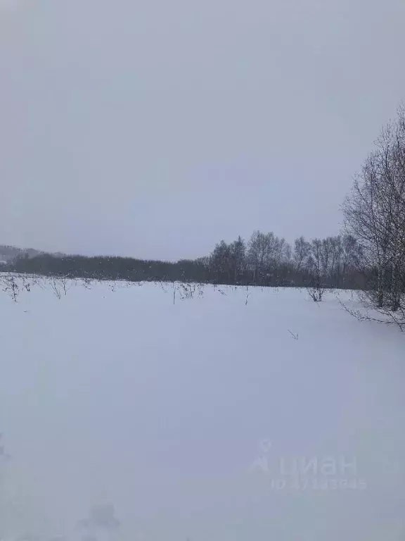 Участок в Нижегородская область, Кстовский муниципальный округ, с. ... - Фото 1