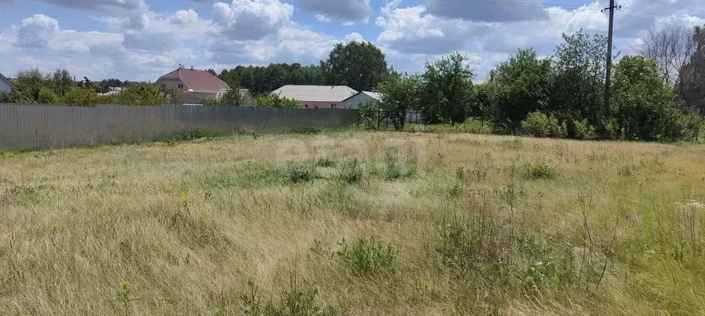 Участок в Воронежская область, Рамонский район, Айдаровское с/пос, с. ... - Фото 2