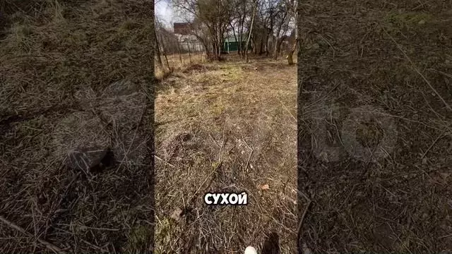 Участок 6,7 сот. (СНТ, ДНП) - Фото 1