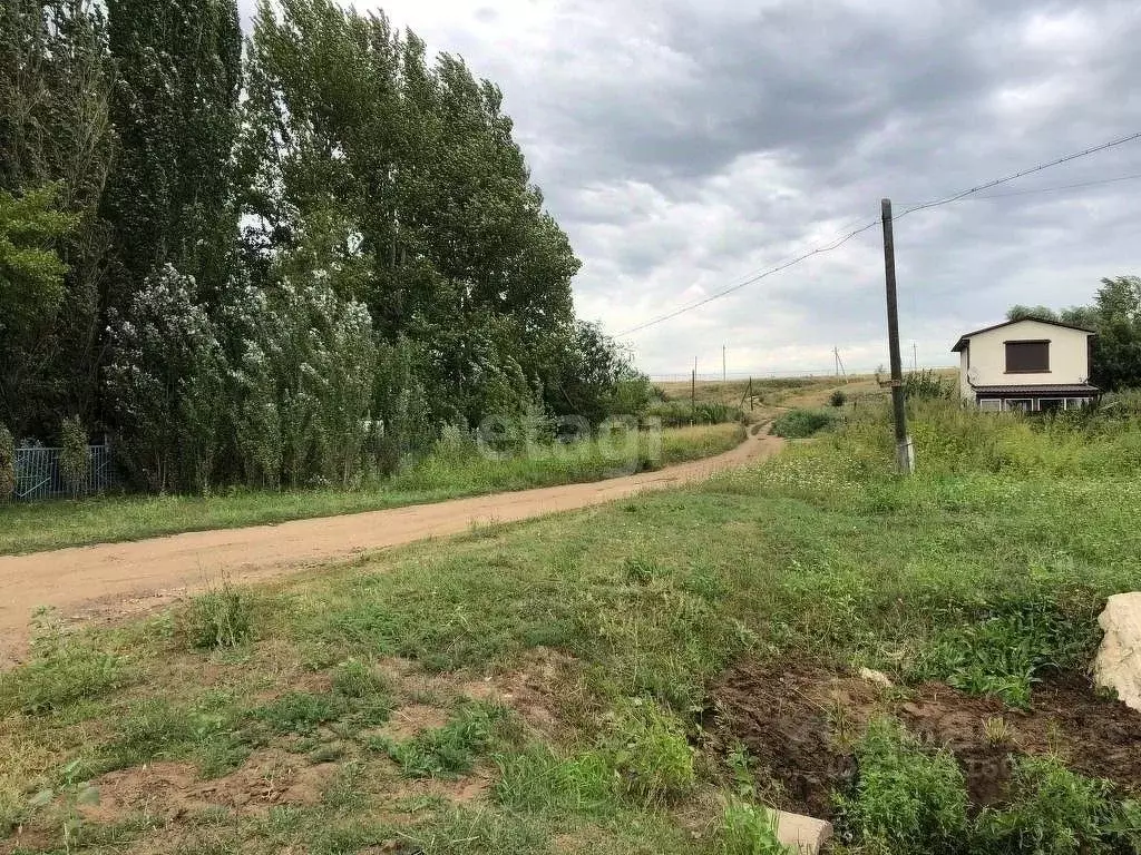 Участок в Саратовская область, Воскресенский район, Елшанское ... - Фото 0