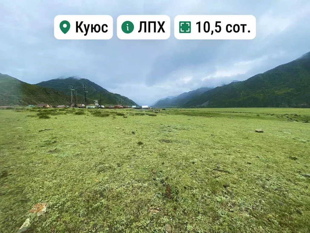 Участок в Алтай, Чемальский район, с. Куюс Центральная ул. (10.5 сот.) - Фото 1