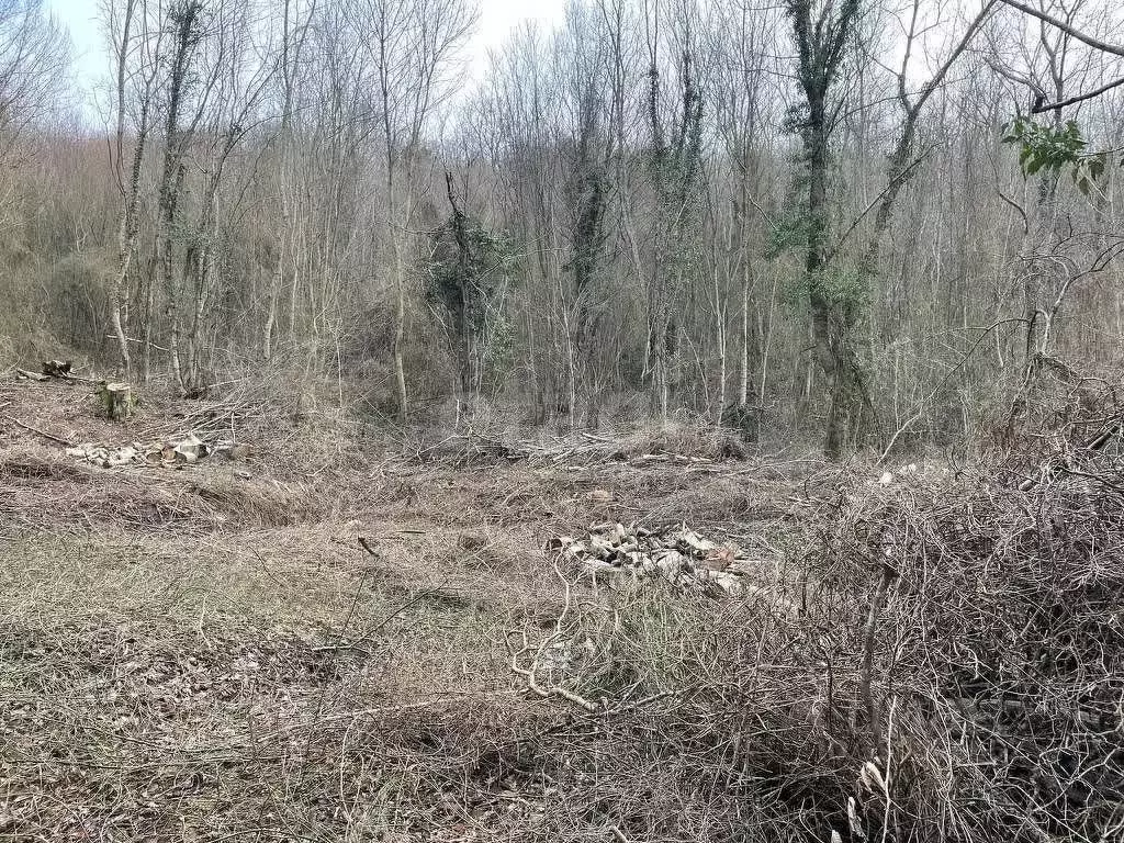Участок в Краснодарский край, Геленджик городской округ, с. Адербиевка ... - Фото 1