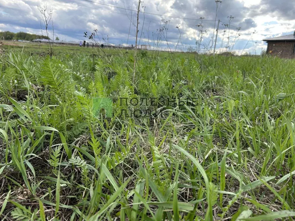 Участок в Башкортостан, Уфа городской округ, с. Нагаево ул. Салютная, ... - Фото 0