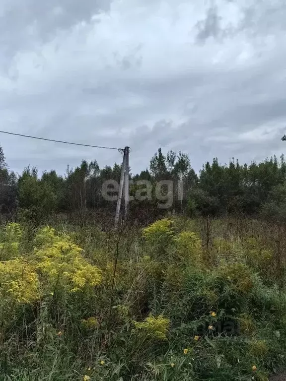 Участок в Кемеровская область, Новокузнецк  (10.0 сот.) - Фото 0