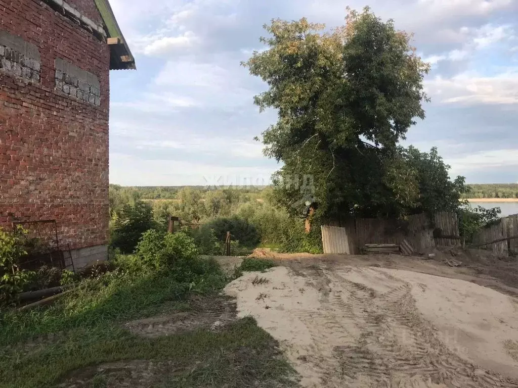 Участок в Новосибирская область, Новосибирский район, Кудряшовский дп ... - Фото 1