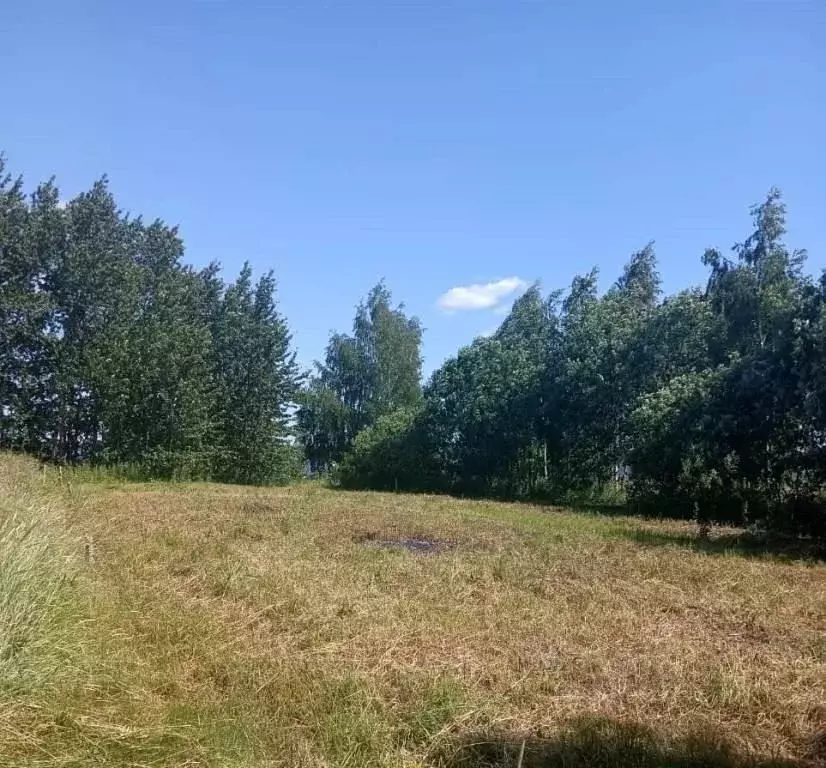 Участок в Ярославская область, Пошехонский район, Пригородное с/пос, ... - Фото 1