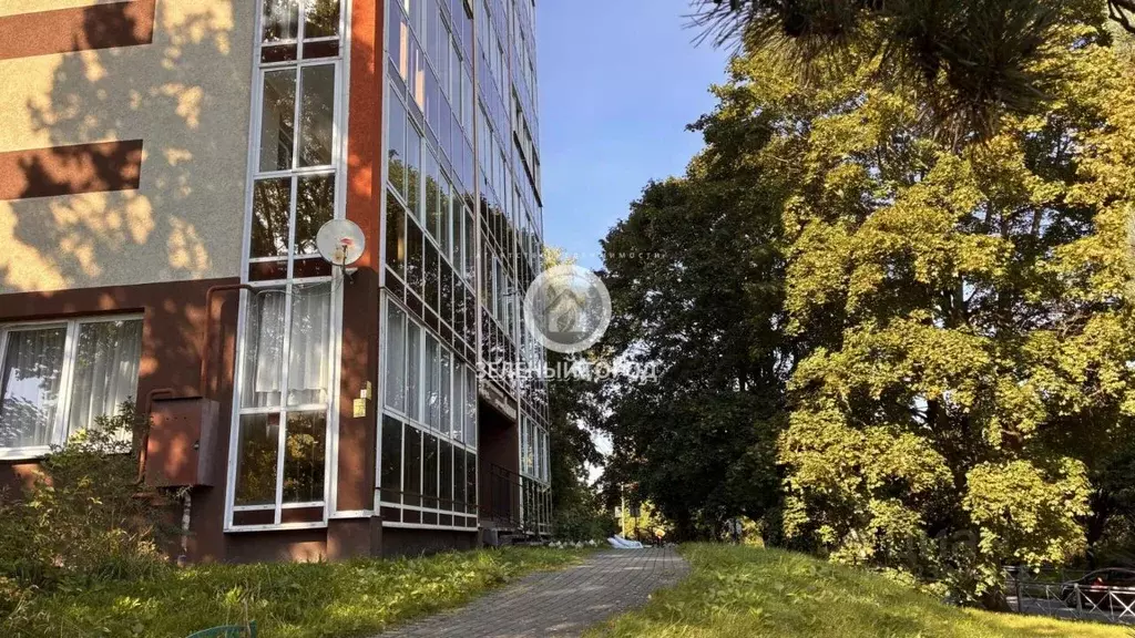 Студия Калининградская область, Светлогорск Пригородная ул., 1к2 (30.0 ... - Фото 1
