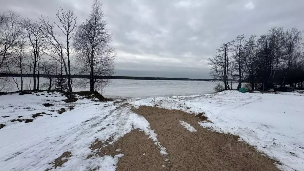 Участок в Ленинградская область, Выборгский район, Полянское с/пос  ... - Фото 0