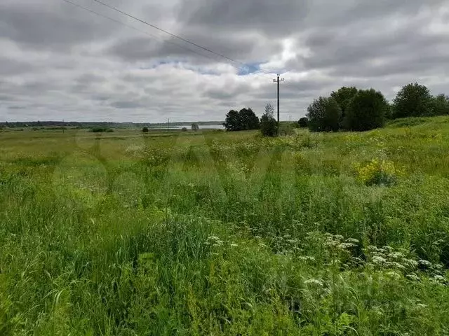 Участок в Псковская область, Палкинский район, Новоуситовская волость, ... - Фото 2