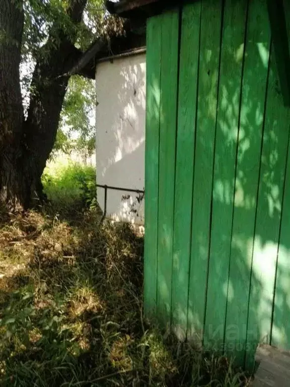 Помещение свободного назначения в Курганская область, Притобольный ... - Фото 2