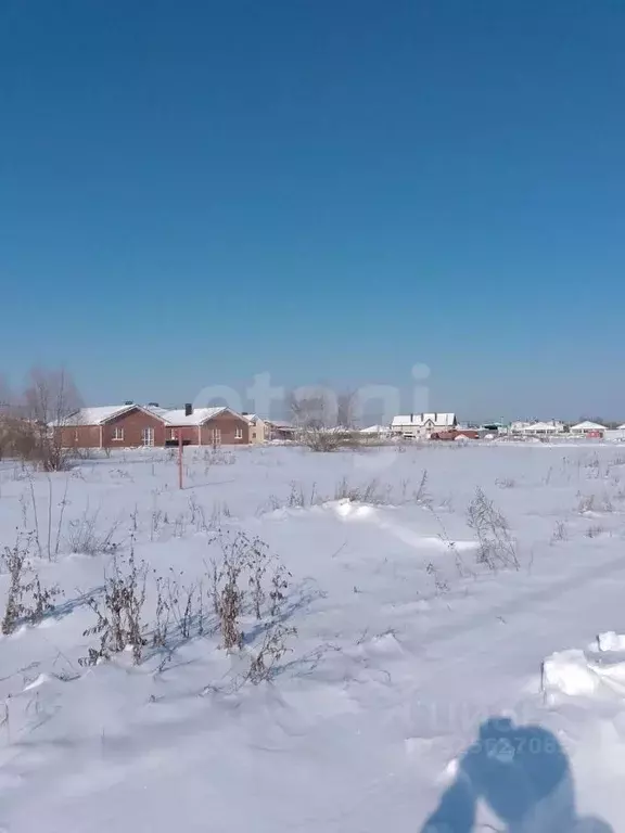 Участок в Воронежская область, с. Новая Усмань ул. Краснознаменная, 1 ... - Фото 1