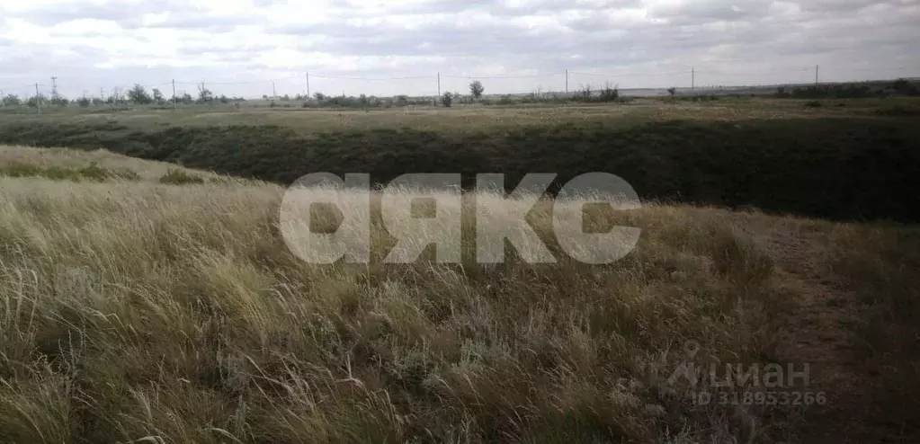 Участок в Волгоградская область, Городищенский район, Царицынское ... - Фото 0