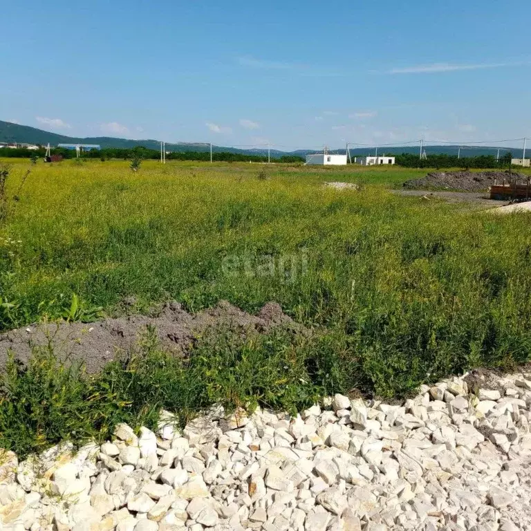 Участок в Краснодарский край, Новороссийск городской округ, ... - Фото 0