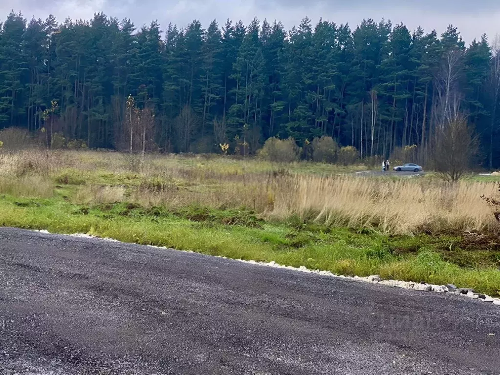 Участок в Московская область, Наро-Фоминский городской округ, д. ... - Фото 2