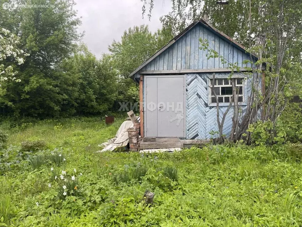 Дом в Новосибирск, садовое некоммерческое товарищество Берёзовая Роща ... - Фото 1